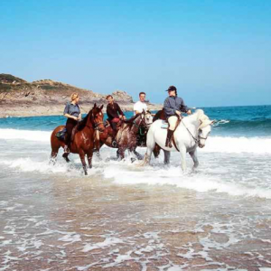cheval