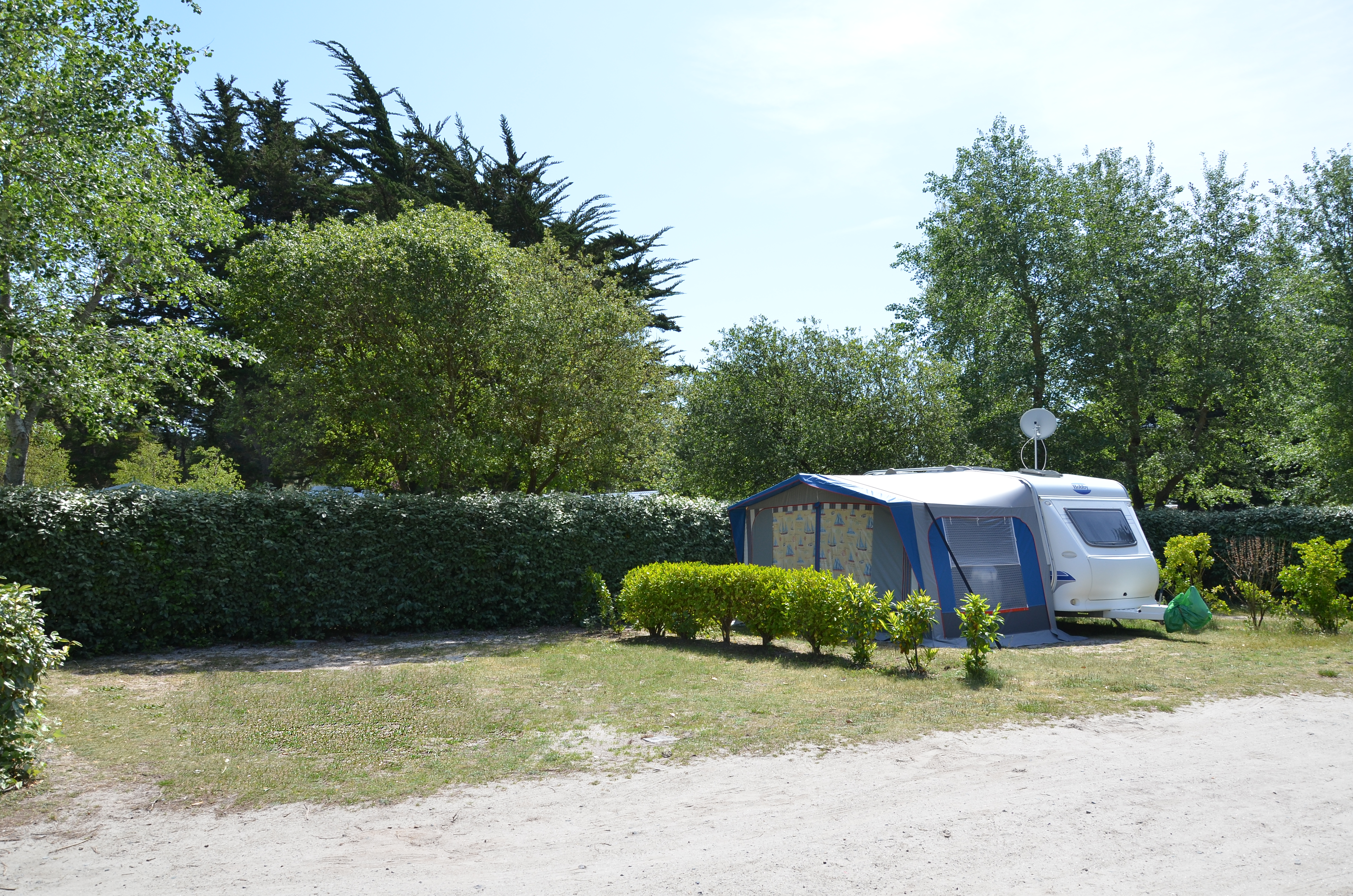 Emplacement 1 fleur
